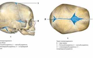 Почему не зарастает родничок у ребенка
