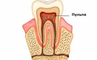 Пульпа зуба
