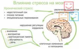 10 самых эффективных методов профилактики стресса