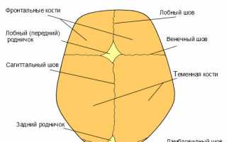 Роднички у грудничков. Что нужно знать?