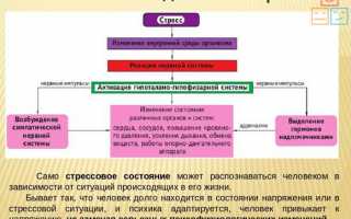 Как побороть аэрофобию и перестать бояться перелетов