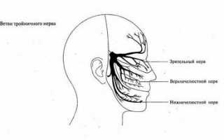 Тройничный нерв