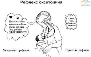 Может ли от стресса пропасть молоко и как его вернуть кормящей маме